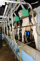 Similar image 8097112