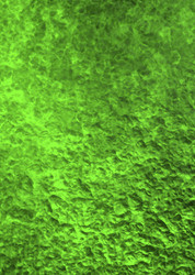 Similar image 8097117