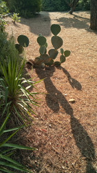 Similar image 8097128