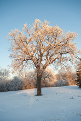 Similar image 8097131