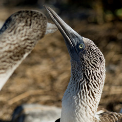 Similar image 8097134