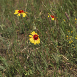 Similar image 8097136