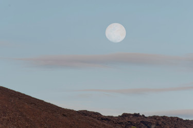 Similar image 8097137