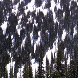 Similar image 8097142