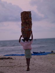 Similar image 8097143