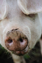 Similar image 8097147