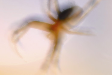 Similar image 8097170