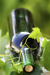 Similar image 8097179