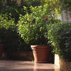 Similar image 8097185