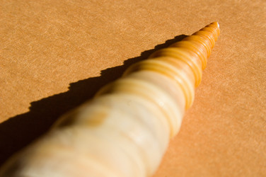 Similar image 8097188