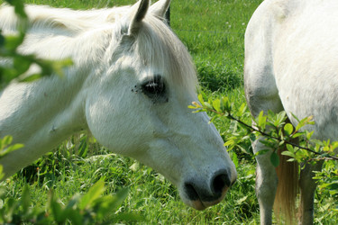 Similar image 8097191