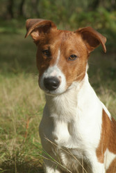 Similar image 8097194