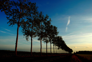 Similar image 8097196