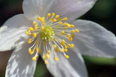 Similar image 8097210