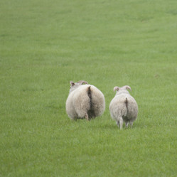 Similar image 8097215