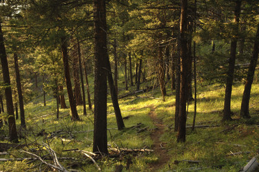 Similar image 8097217