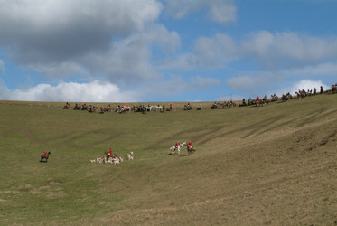 Similar image 8097222