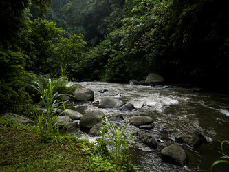 Similar image 8097225