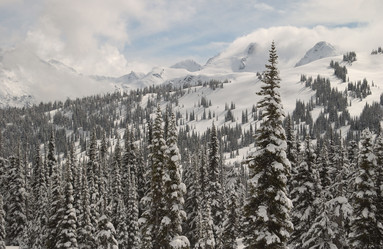 Similar image 8097230