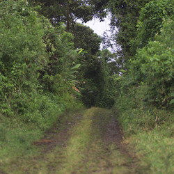 Similar image 8097241