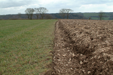 Similar image 8097244