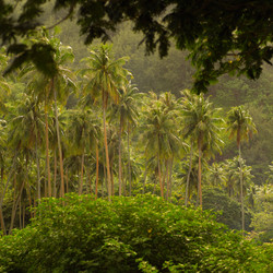 Similar image 8097246