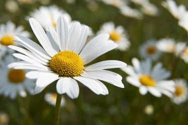 Similar image 8097251