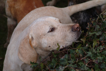 Similar image 8097254