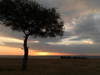 Similar image 8097258