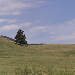 Similar image 8097260