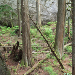 Similar image 8097271