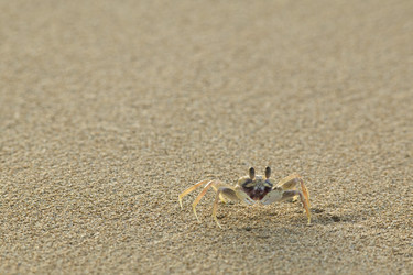 Similar image 8097288