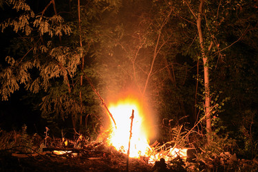 Similar image 8097296