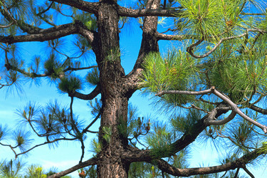 Similar image 8097299