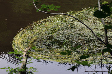 Similar image 8097300