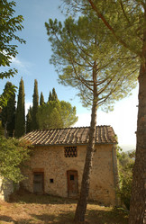 Similar image 8097302