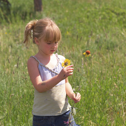 Similar image 8097308