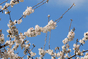 Similar image 8097314