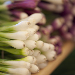 Similar image 8097315