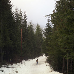 Similar image 8097325