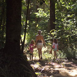 Similar image 8097332