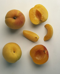 Similar image 8097342