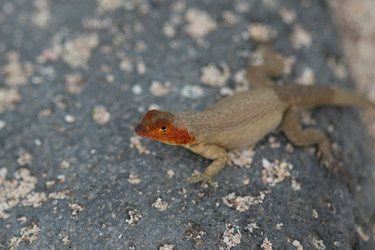 Similar image 8097343