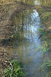 Similar image 8097347