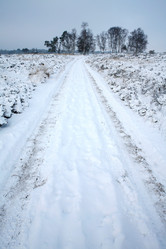 Similar image 8097348