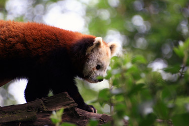 Similar image 8097350