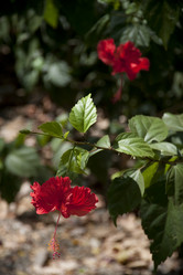 Similar image 8097371