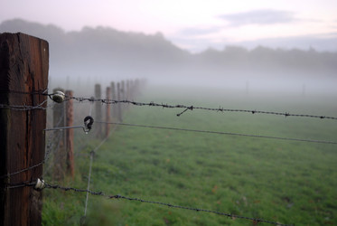 Similar image 8097395