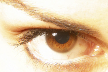 Similar image 8097407