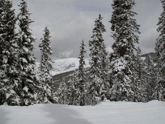 Similar image 8097409